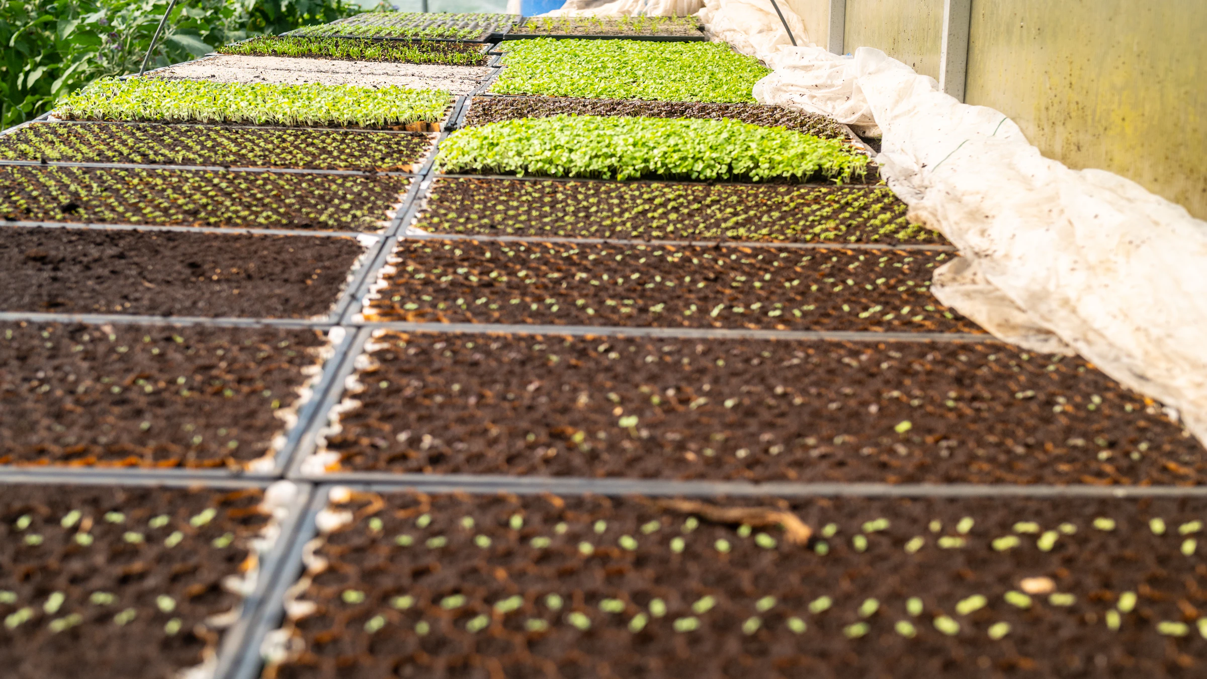 Automation Projects 2