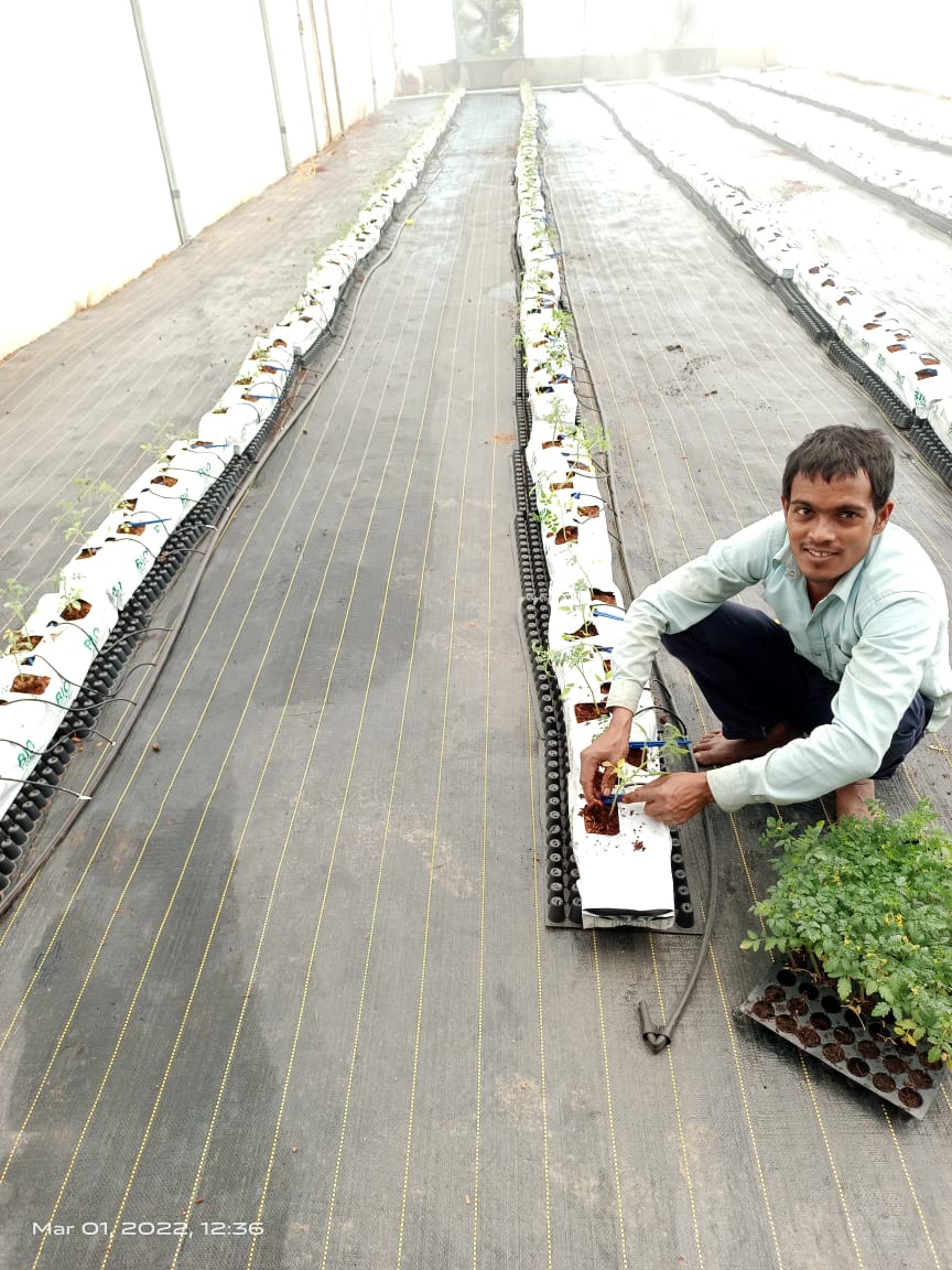 5,000 sq.ft - Substrate 2