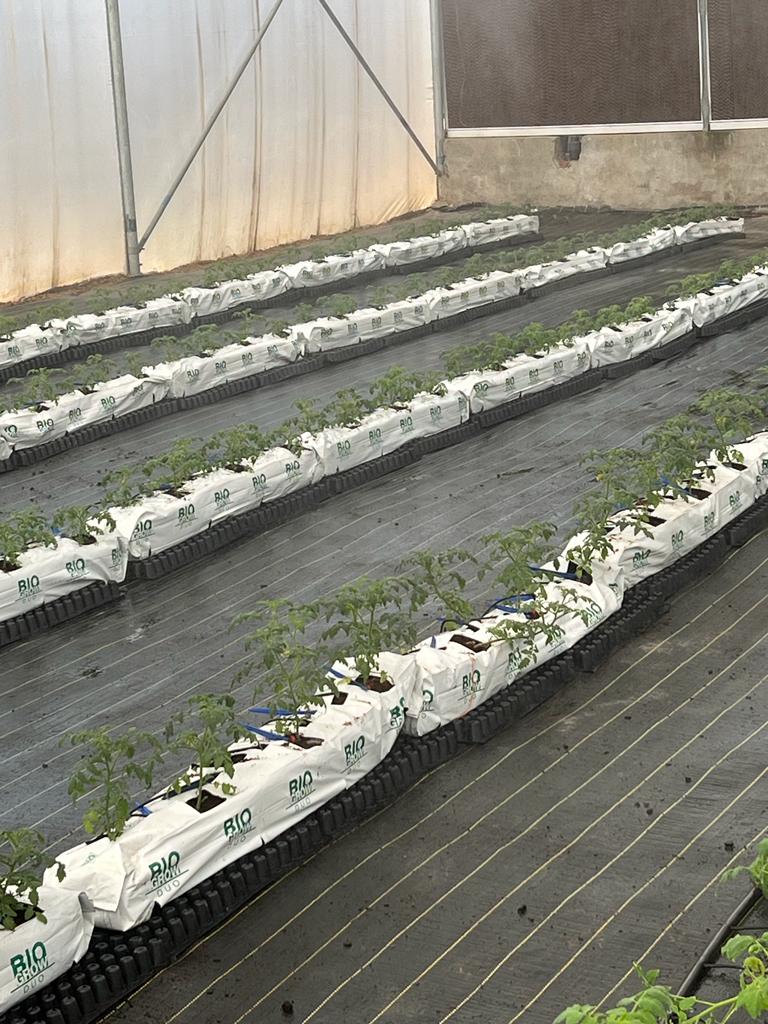 5,000 sq.ft - Substrate 4