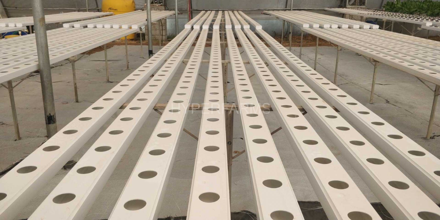 Quarter Acre - NFT 2