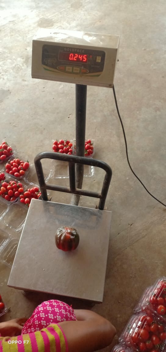 Two Acre - Substrate 4