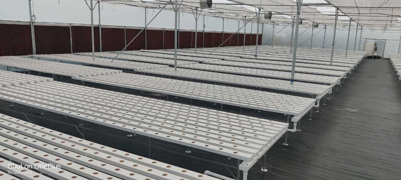 Quarter Acre - NFT 3