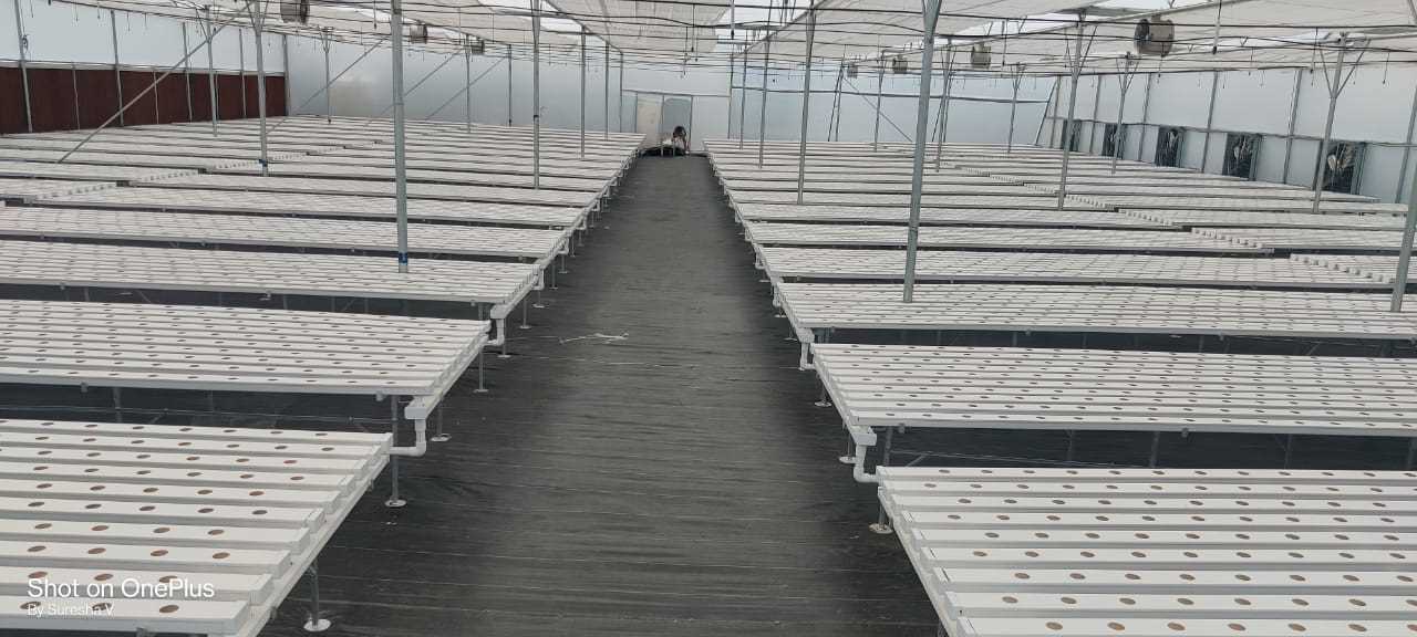 Quarter Acre - NFT 2