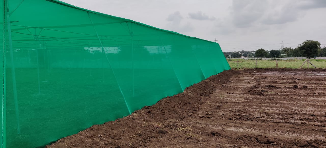 Quarter Acre - Substrate 4